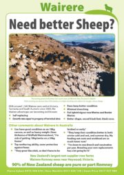 july 2018 wairere rams newsletter