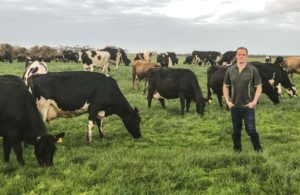 Turning grass into money: Phil White, Agribusiness consulttant and dairy farmer on his farm near Heywood.